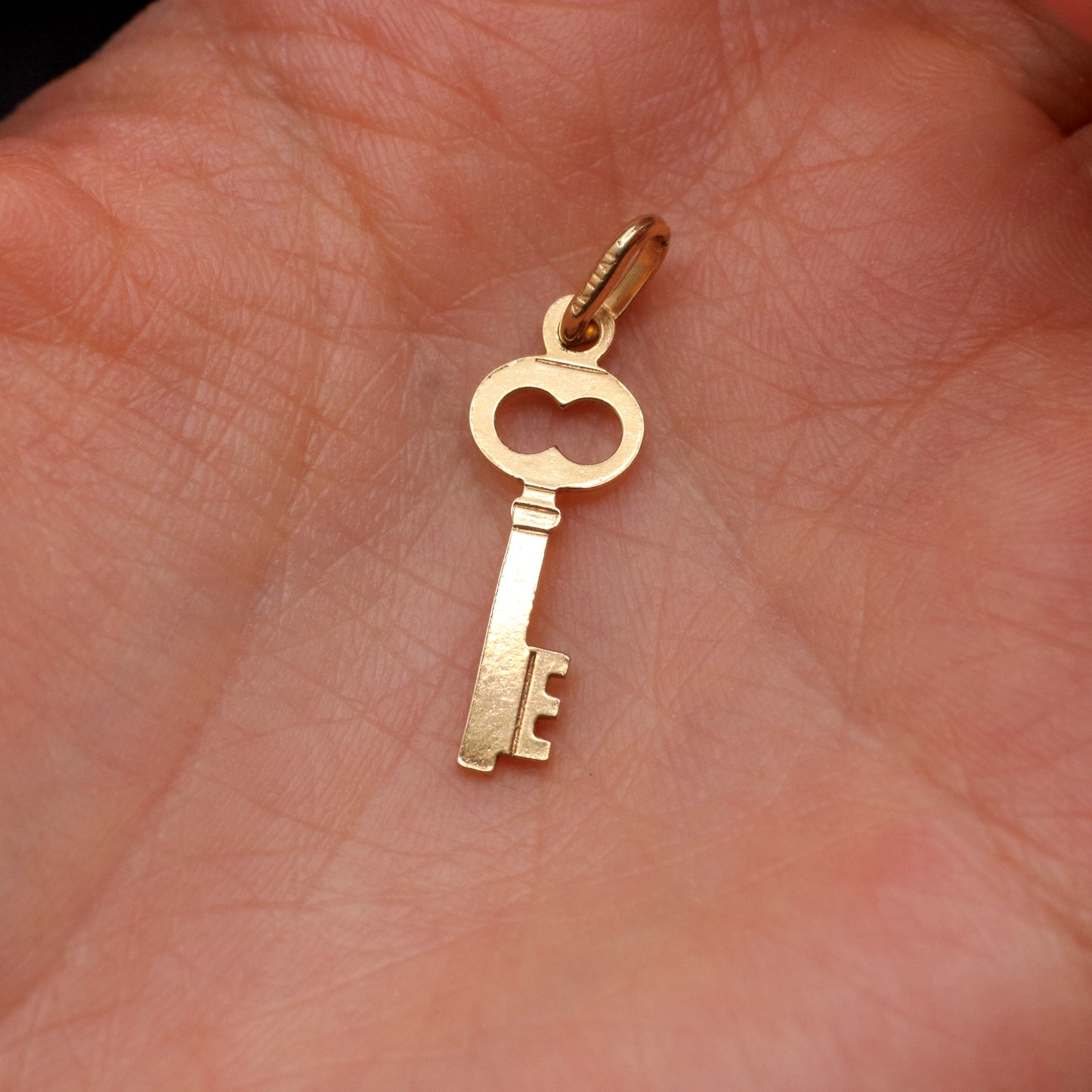 Charming Italian Skeleton Key